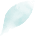 slider-h1-vector-11-min